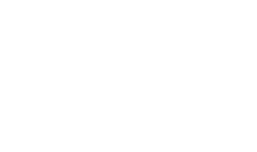 Walston Group Logo