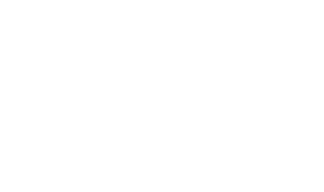 Walston Group Real Estate Logo